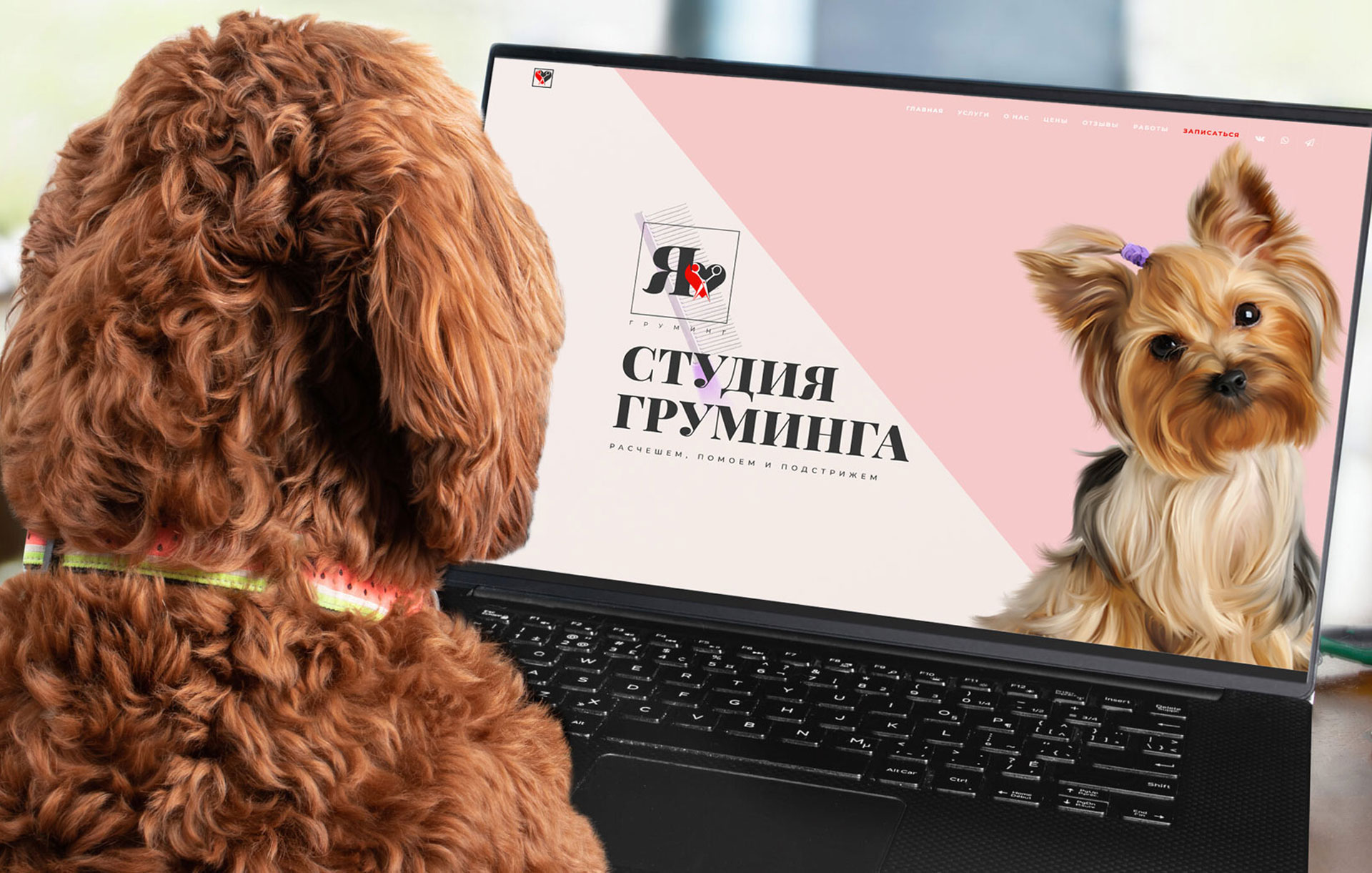 Студия «Я♥груминг»